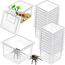 20 Pcs Insect Spider Terrariums Breeding Box Small Reptile Hatching Container Tr