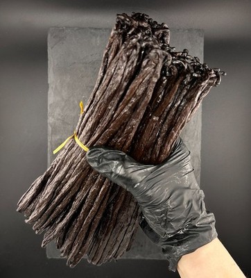 Madagaskar Bourbon Noir Vanille 18 20 cm   Premium   Ölig & Aromatisch