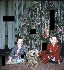1956 3D Stereo Slide of Cute Children Girl Boy Dog Christmas Tree NEAT IN VIEWER