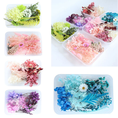 1 Box Dried Flowers DIY Specimen Real Plant Craft Candle Pendant Jewelry Making - Picture 1 of 22