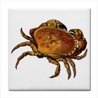 Red Crab Crustacean Sea Life Art Backsplash Decorative Border Ceramic Craft Tile