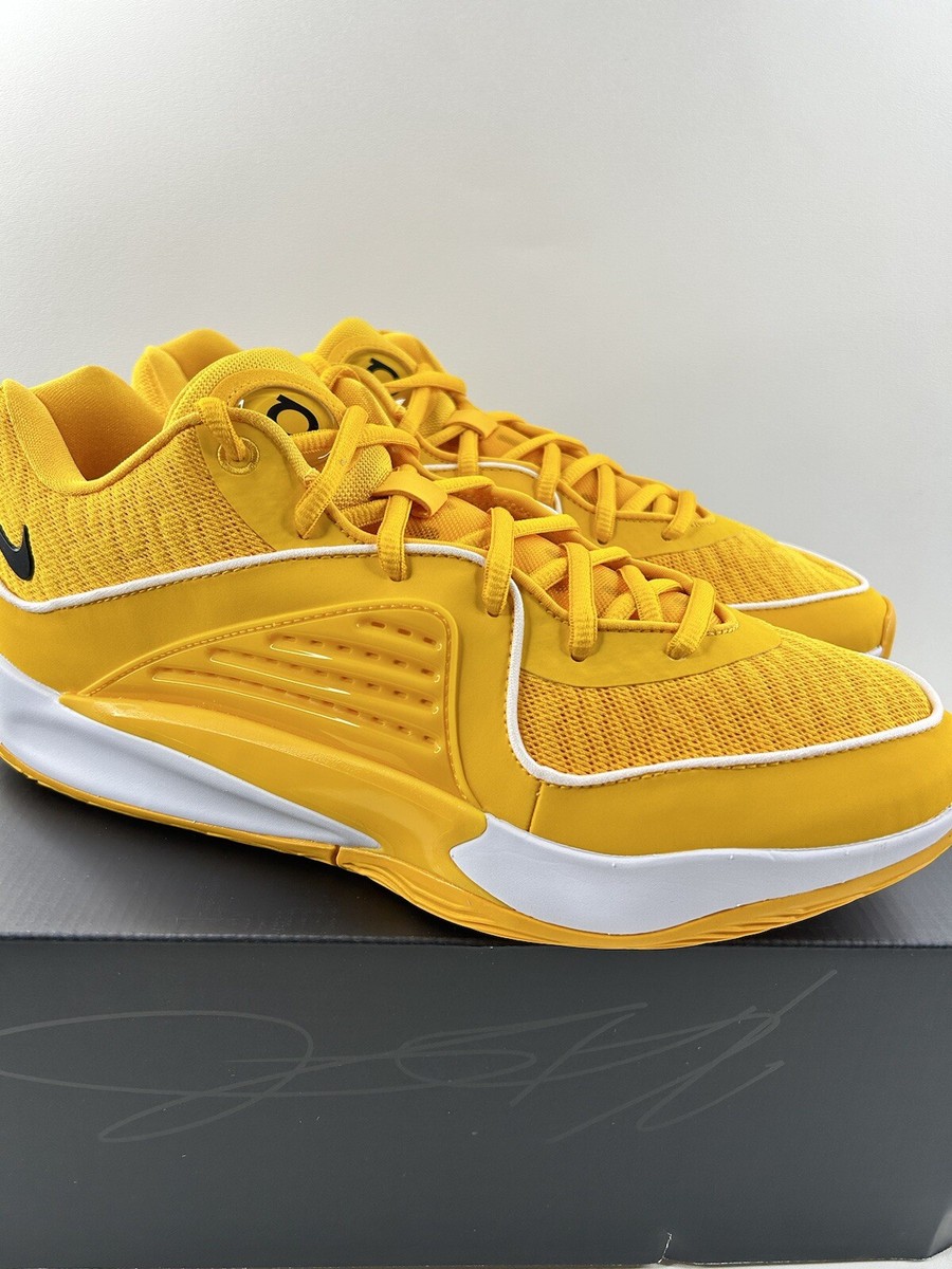 作品オーダー KD16 TB P Men's Multi Size University Gold/Black-White FN7091-701