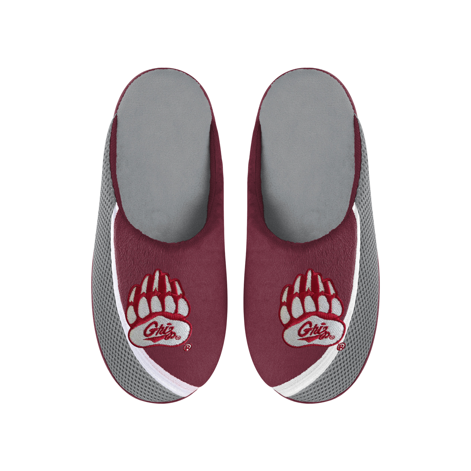 Мужские тапочки FOCO NCAA Montana Grizzlies 2022 с крупным логотипом и цветным краем.