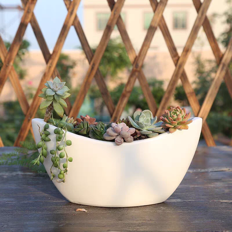 Ceramic succulent pots deals