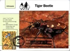 Dr Jim Stamps Maximum Card Great Lakes Dunes Big Sand Tiger Beetle 42C Fdc 2008