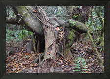 Lean On Me Friend Framed Wall Art Poster Canvas Print Picture