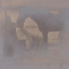 Horse and Handler Captured in a Mysterious Iridescent Glow Unusual Antique Photo