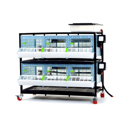 Chick Brooder - 2 Layer H: 9.5''