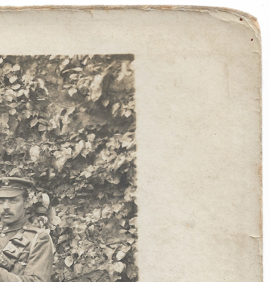 WW1 photo Honourable Artillery Company soldier & horse, battle patch