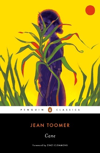 Thumbnail - Jean Toomer Cane (taschenbuch)