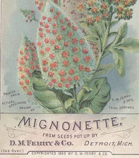 DETROIT TRADE CARD, PRETTY MIGNONETTE, D M FERRY & CO.( SEED CO) w/ PRICES  A734