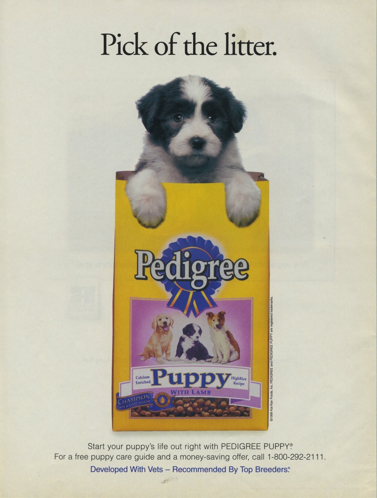 1999 Vintage Magazine Page ad Pedigree Puppy Dog Food