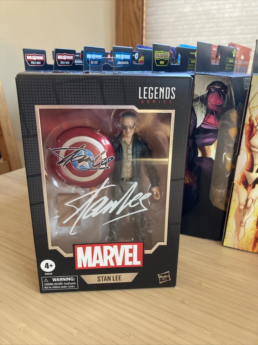 Marvel Legends Series 80th Anniversary Stan Lee Action Figure