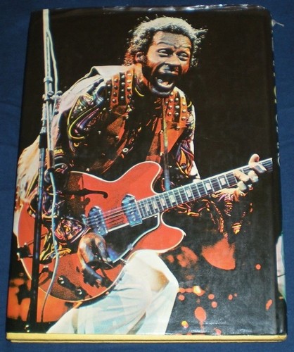 GREAT POP STARS Andy Gray 1973 Illustrated HC/DJ Chronological Collectible - Picture 2 of 12