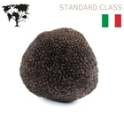 Precious FRESH WINTER black truffles 500g. 17,6 oz. - Tuber Melanosporum