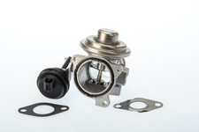 BorgWarner (Wahler) AGR Ventil 7241D/1 für VW PASSAT B5 3B2 Variant 3B5 3B3 7M8