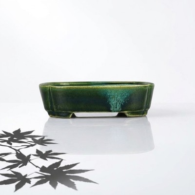 Japanischer Bonsai Topf Seto Satomi Terahata 6,5 Zoll (16,5 cm) grün glasiert...