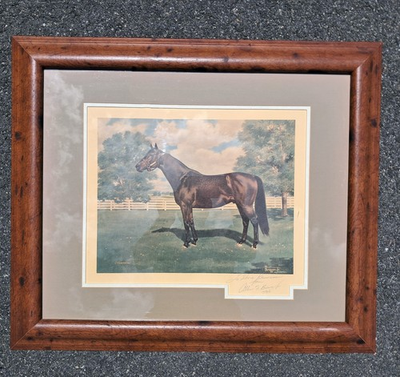 #ad #ad Vintage quot;Citationquot; Thoroughbred Print Framed amp; Hand SIGNED by Allen F Brewer Jr $699.00