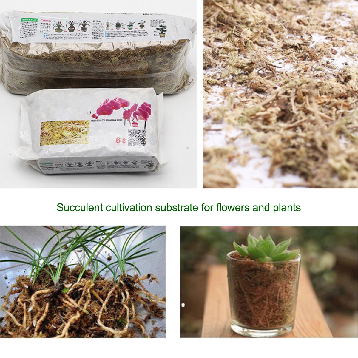 Dried sphagnum moss deals