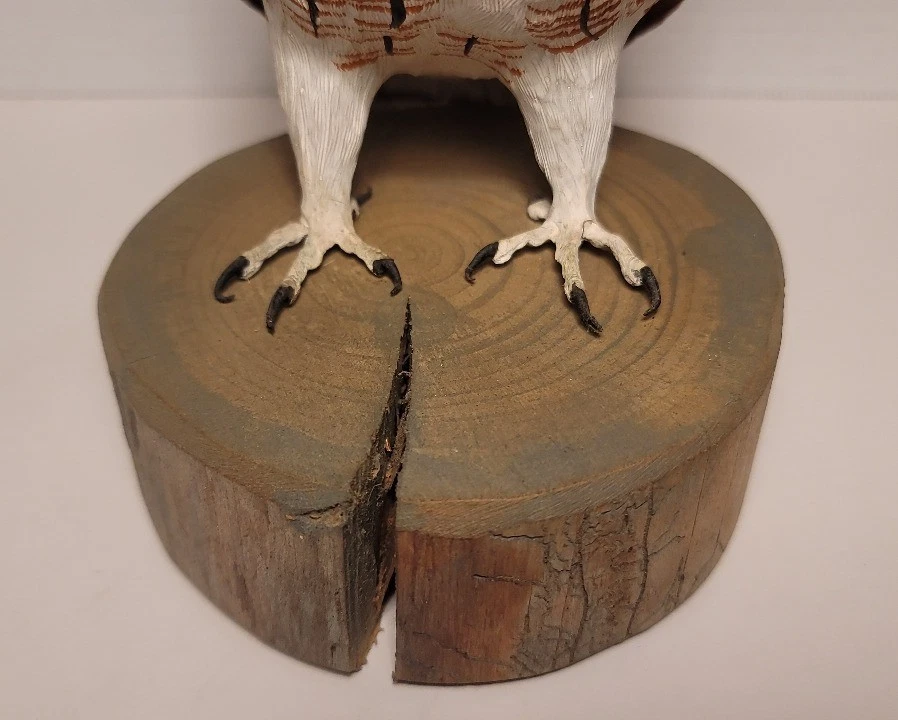 Búho de madera tallado a mano por Bob Lee Florida firmado Foto 3 de 4