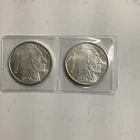 2010 American Buffalo Lot of 2 1 oz .999 Silver Bullion Uncert