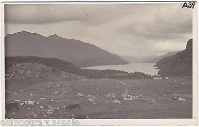 LOCH MAREE - WESTER ROSS - ECHTFOTO POSTKARTE (ref 1761)