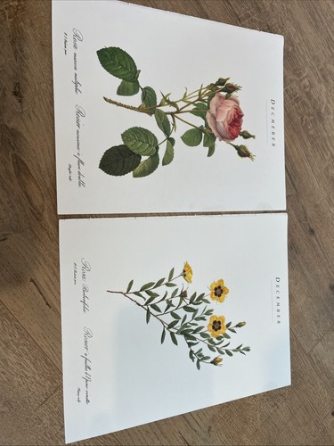 26 Vintage P. J. Redoute Print 7”x 9” Calendar Months 2 Sided Botanical Rose - Picture 14 of 23