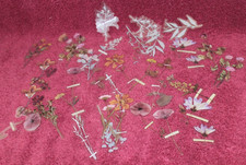 Plant Foliage  Flower Stickers - 36 Pieces Scrapbooking, Card Making