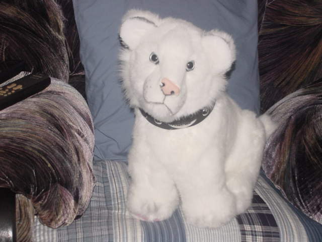 siegfried and roy stuffed white tiger