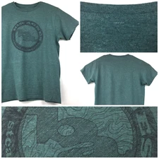 Big Agnes Mens Medium (40 in Chest) Green Heather Circle Logo Graphic Tee
