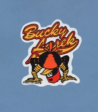 Powell Peralta Bucky Lasek Stadium Skateboard Sticker