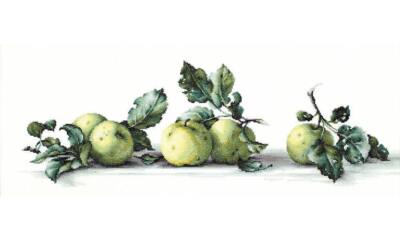 Still Life with apples B2259L Luca-S Counted Cross-Stitch Kit