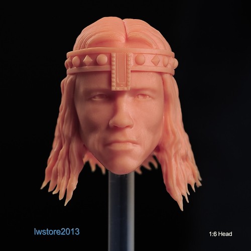 1:18 Conan the Barbarian Head Sculpt For 3.75" Male Action Figure Soldier Body - Picture 1 of 7