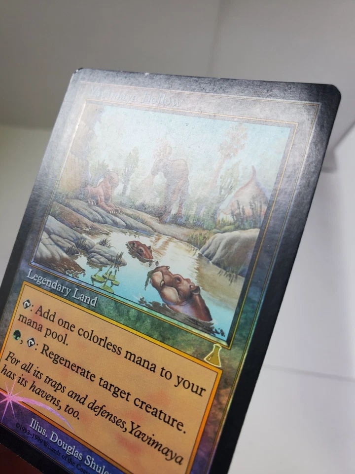 MTG Yavimaya Hollow Foil English UD Urza's Destiny EX - Image 4 of 4