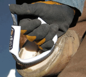 EVO Hoof Care Bar and Sole Rasp-1 White 'Original' hardened convex ...