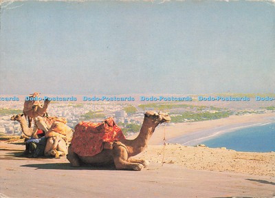 D270741 Agadir Panoramablick auf die Agadir Hay Casa Bilder Ryger