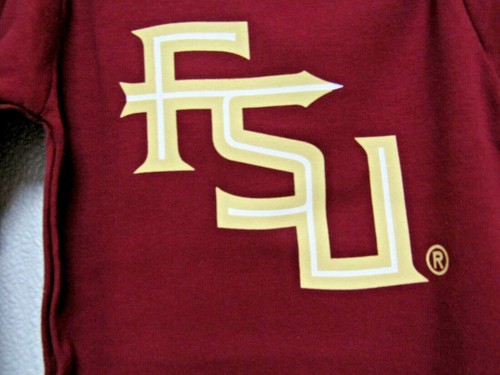 NCAA FL State Seminoles FSU logo su serigrafia manica lunga rampicante 2 piedi davanti - Foto 2 di 3