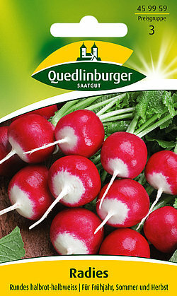 Saatgut Radieschen Quedlinburger EISZAPFEN RUNDES KORUND RIESENBUTTER Samen - Bild 10 von 23