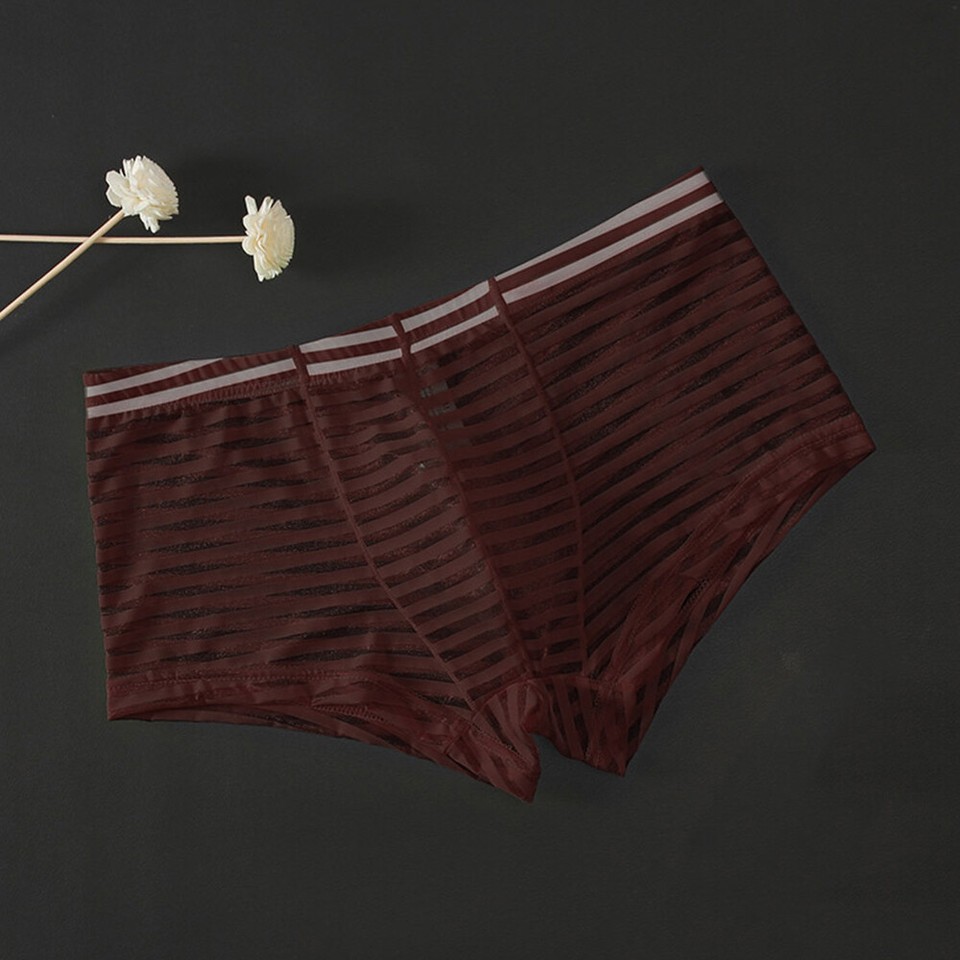 Herren Netz-Boxershorts - Durchsichtige Atmungsaktive Unterwäsche