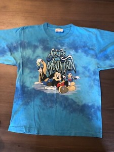 splash mountain shirt