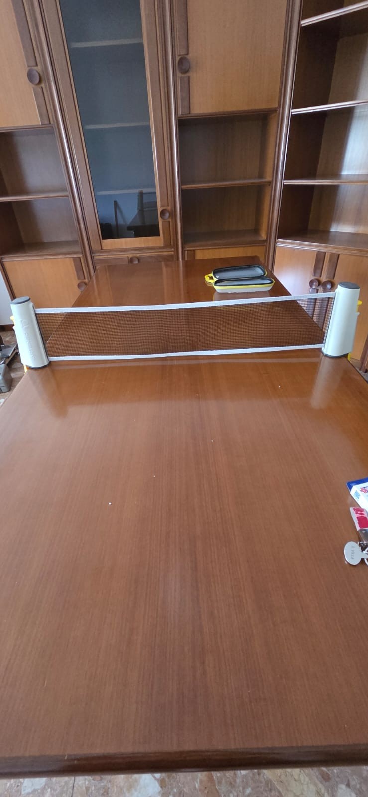Rete ping pong retrattile con clip