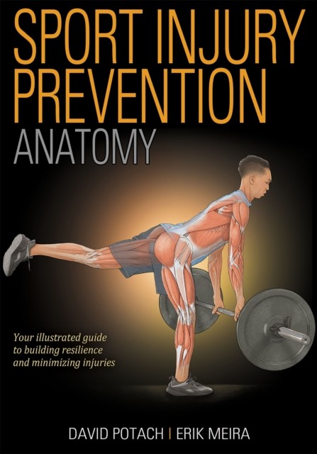 Sport Injury Prevention Anatomy by David Potach: Erik Meira (PB 2022) - Image 5