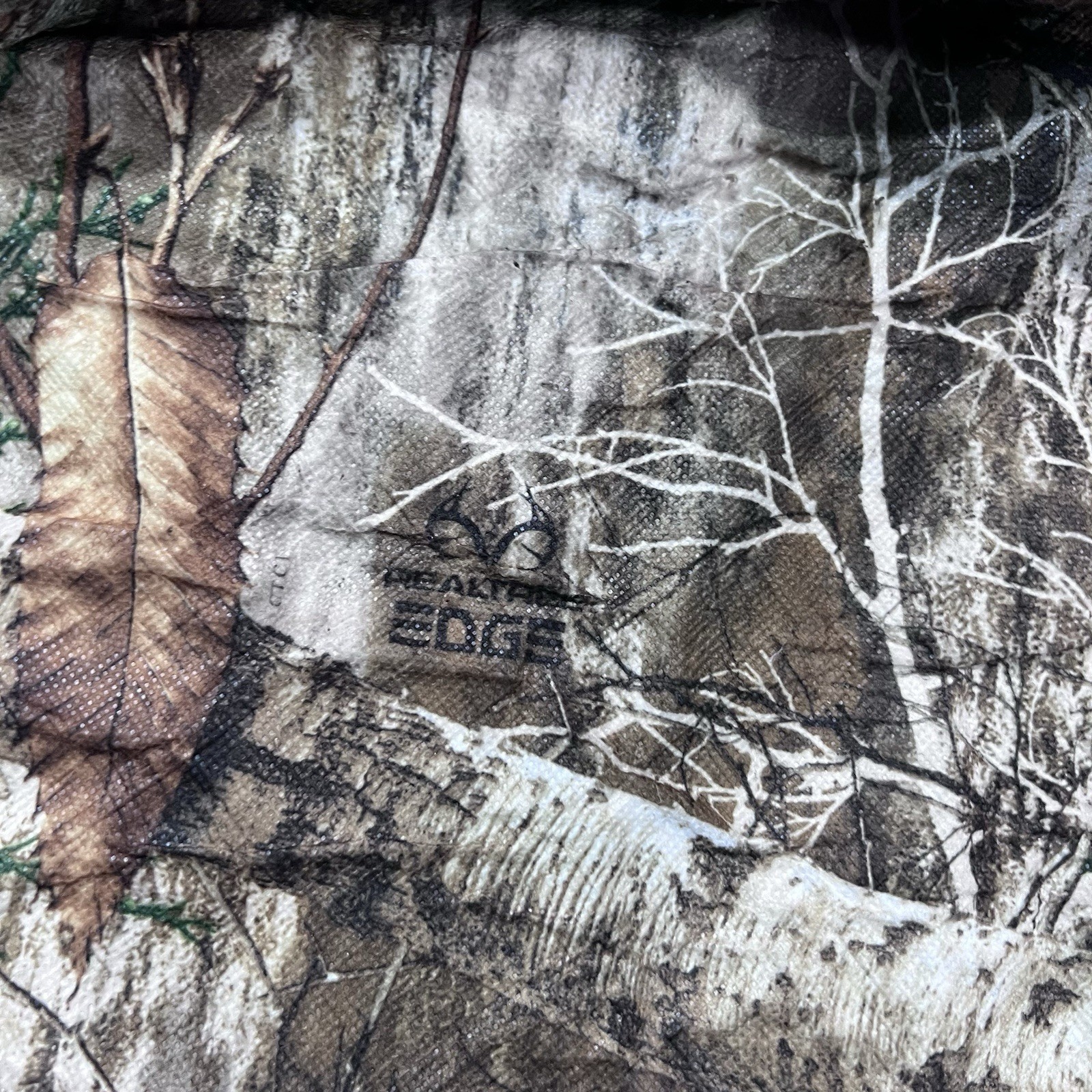 Picture 4 of 6