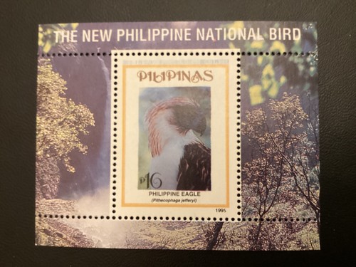 Collectzone Philippinen 2367 gefährdete Wildtiere Vögel Adler Sehr guter Erhaltungszustand NH