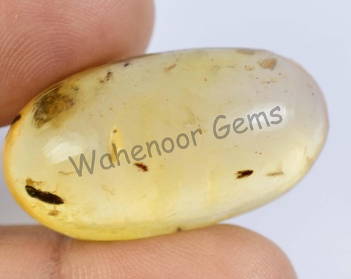 18.65 Ct 100% Natural Yellow Amber Insect Inclusion Certified Loose Gemstone - Picture 6 of 7