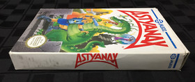 COMPLETE Astyanax NES Nintendo CIB Manual BOX Game CARTRIDGE Sleeve - TESTED