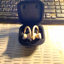 Beats by Dr. Dre Powerbeats Pro Wireless Bluetooth Ear-Hook Earbuds Case