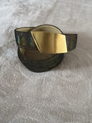 Loewe Madrid Rare Iridescent Leather Belt Gold Buckle  display picture 1