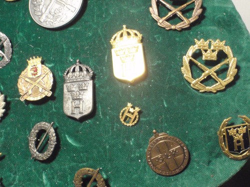 Collezione Spille Militari e Guardia Nazionale Svedesi Svezia Esercito Difesa 1940-1990 - Foto 7 di 8