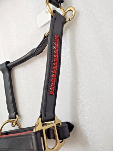 Leather Horse Anatomic Halter with Red Crystal & Red Padding With Brass Fitting. - Picture 4 of 9